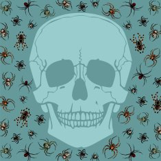 Skull and spiders N2