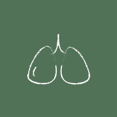 Lungs icon drawn in chalk