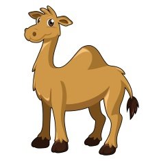 Camel N10