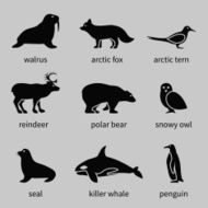 Polar animals icons