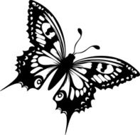 butterfly N98