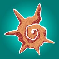 Orange shell