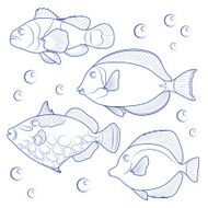 Collection of tropical reef fish