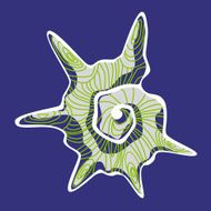 Gray shell