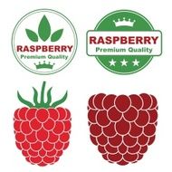 Raspberry N4