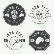 Set of vintage mixed martial arts logo badges and emblems N2