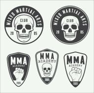 Set of vintage mixed martial arts logo badges and emblems N3