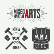 Set of vintage mixed martial arts logo badges and emblems N4