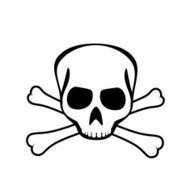skull and crossbones N29