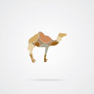camel icon N9