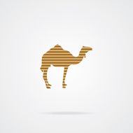 camel icon N10