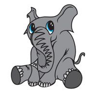 Elephant N62