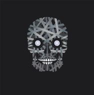 Skull Illustration T-shirt Graphics Halloween