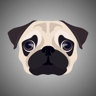 Pug portrait