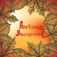 Autumn Background N89