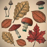 Autumn Background N90