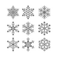Flat snowflakes vector set