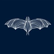 Bat N6
