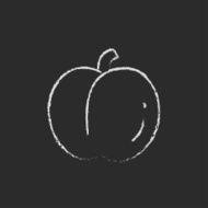 Plum icon drawn in chalk N2