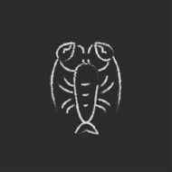 Lobster icon drawn in chalk N2
