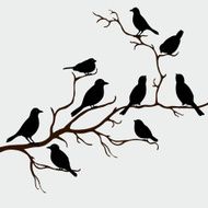 Cute black birds on a branch