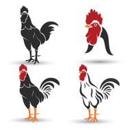 Cock N4