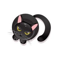Black cat on a white background