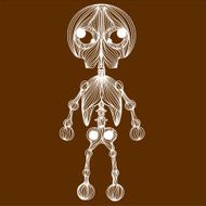 Skeleton N8