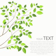 Beautiful Green Tree on a White Background Vector Illustration N2