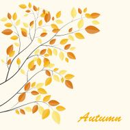 Shiny Autumn Natural Leaves Background Vector Illustration N23