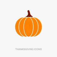 Pumpkin icon Harvest Thanksgiving vector