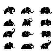 Elephants N31