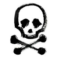 Scull and bones