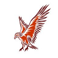 flying eagle N4