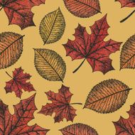 Autumn Background N92