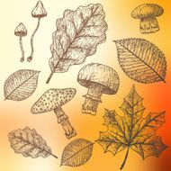 Autumn Background N94