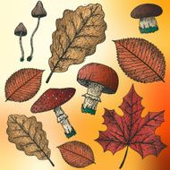 Autumn Background N95