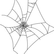 Vector Cobweb