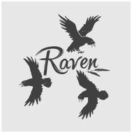Ravens