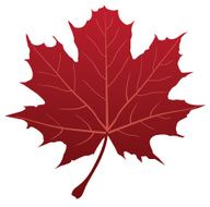 Red Maple Leaf N5
