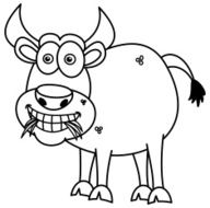 bull eating grass for coloring