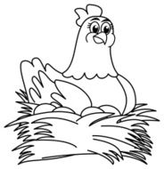hen brooding eggs for coloring
