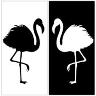 White and black silhouette of flamingos N2