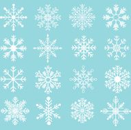 Snowflakes Silhouette set