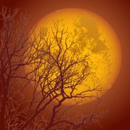 autumn branches and the moon01 N2