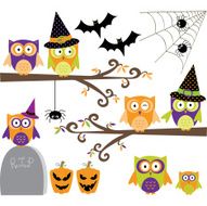 Happy Halloween Owls collections