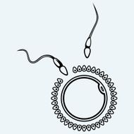 Fertilization labeled N2