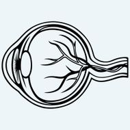 Human eye anatomy N4