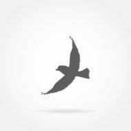 flying bird icon