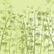 Bamboo Forest N4